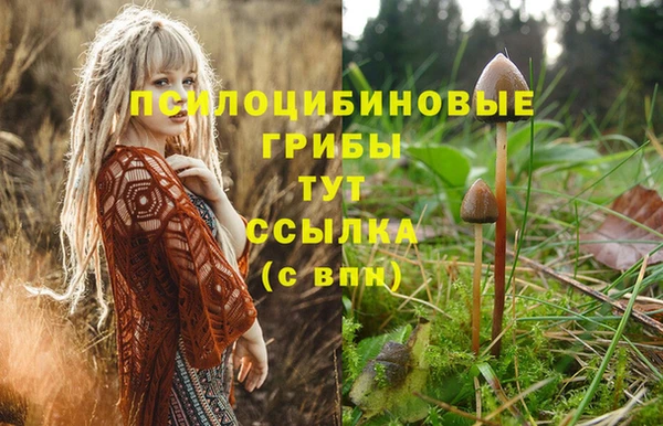 jwh Алексин