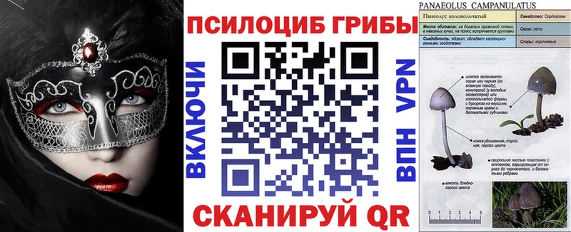 Галлюциногенные грибы GOLDEN TEACHER  это Telegram  Заинск 