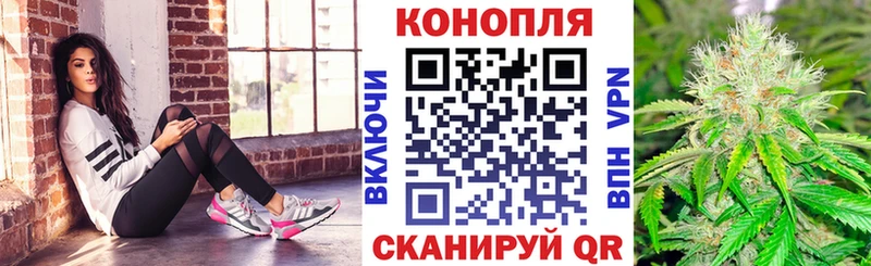 Бошки Шишки THC 21%  mega сайт  Заинск 